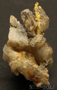 specimen_gold_5158mr-c