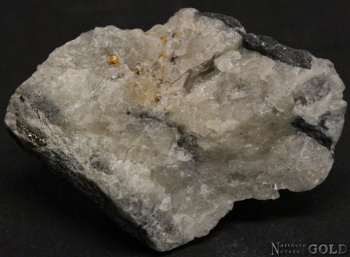 specimen_gold_5165ml-b