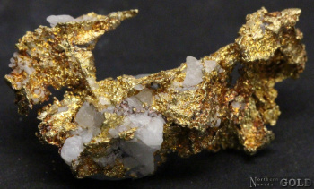 specimen_gold_5171sx