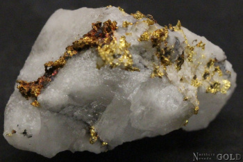 specimen_gold_5172or-b