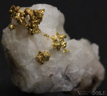 specimen_gold_5175mr