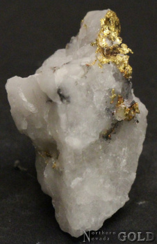 specimen_gold_5177or-b