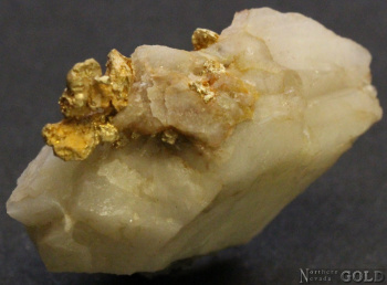 specimen_gold_5191mr-c