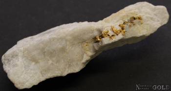 specimen_gold_5337-b