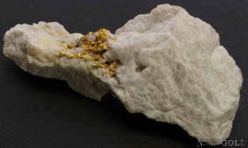 specimen_gold_5337