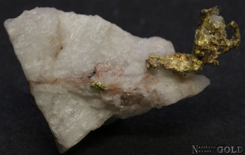 specimen_gold_5341