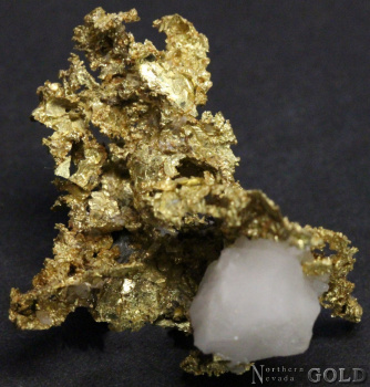 specimen_gold_5352-b