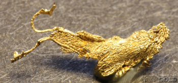 specimen_gold_5657