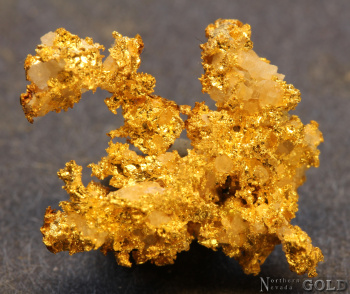 specimen_gold_5687rm
