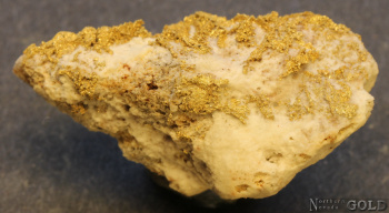 specimen_gold_5688mn-c