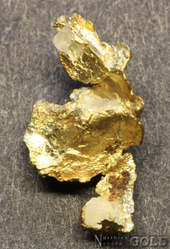 specimen_gold_5689sx-b