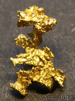 specimen_gold_5696mb-b