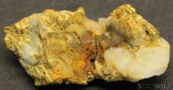 specimen_goldt_4023yk-b