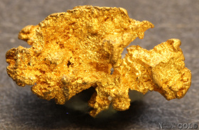 gold_nugget-5672tm