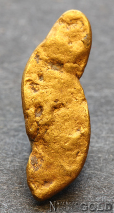 gold_nugget5707-b