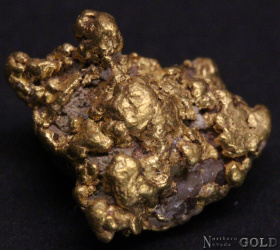 gold_nugget_4936