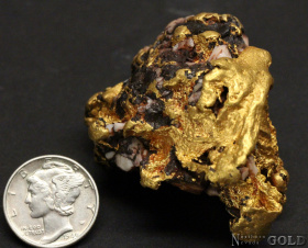gold_nugget_4937