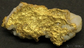 specimen_goldt_4023yk