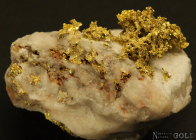 gold_specimen_4703