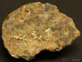 gold_specimen_4704