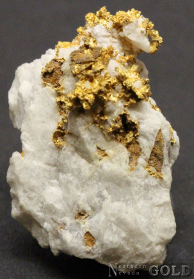 specimen_gold_4796