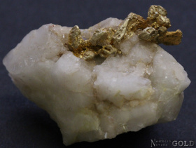 specimen_gold_5191mr