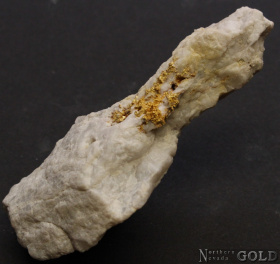 specimen_gold_5337-c