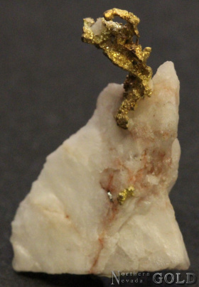 specimen_gold_5341-b