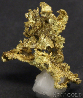 specimen_gold_5352-c