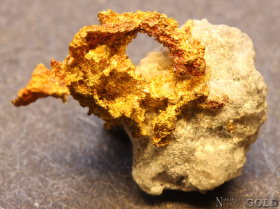 specimen_gold_5651_264740095