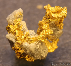 specimen_gold_5652