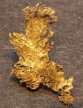specimen_gold_5656-b