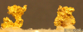 5605dg-b