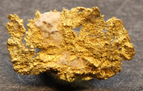 gold_nugget-5683rh
