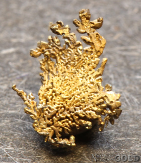 specimen_gold_1